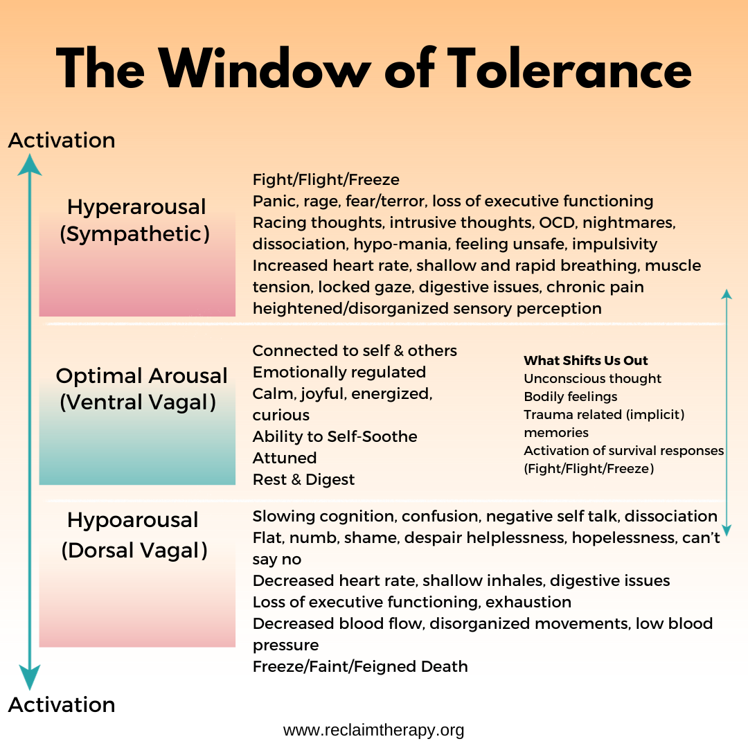 Understanding Your Window of Tolerance Trauma Therapy Helps